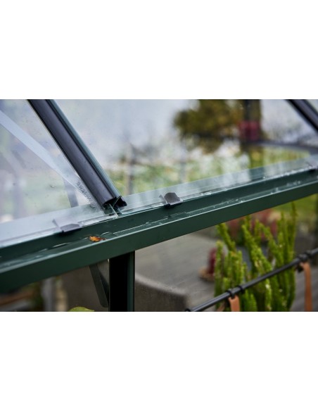 Serre orangerie Garden Room laquée verte 12.9 m² en verre trempé 3 mm