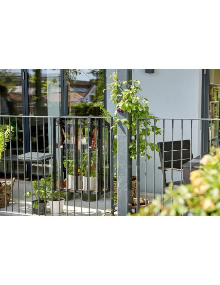 Serre de jardin Urban balcony anthracite 0.16 m² en verre trempé 4 mm