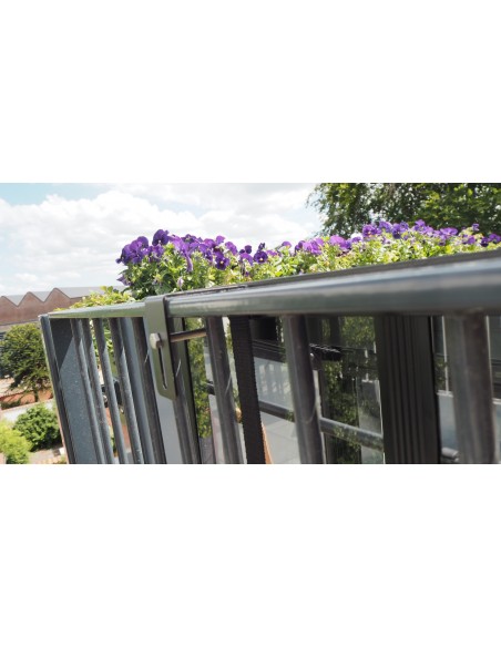 Serre de jardin Urban balcony anthracite 0.16 m² en verre trempé 4 mm