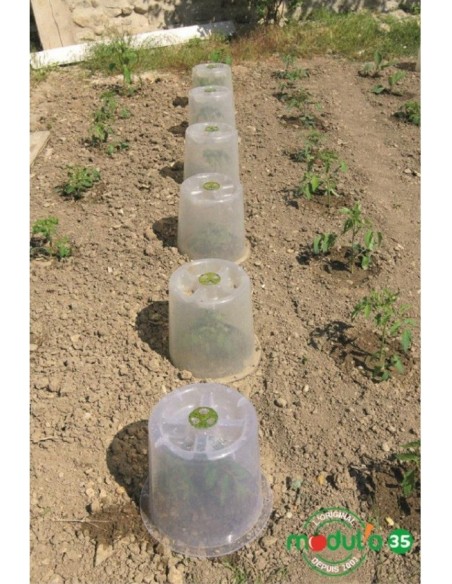 Lot de 3 Cloches potagères à forcer Modul'o 35+6 piquets d'ancrages