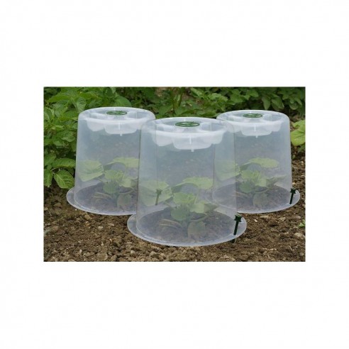 Lot de 3 Cloches potagères à forcer Modul'o 35+6 piquets d'ancrages