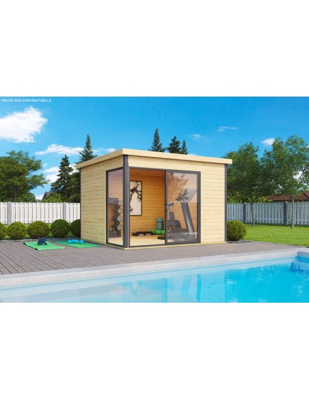 Abri de jardin Domeo 1 Plus 8.48 m² en bois massif 44 mm