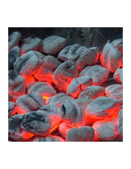 Sac de 8 kg de briquettes de charbon - Weber