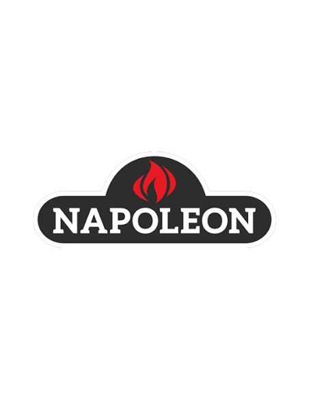 NAPOLEON - Barbecue à gaz Rogue SE425-1 Inox + rôtissoire offerte