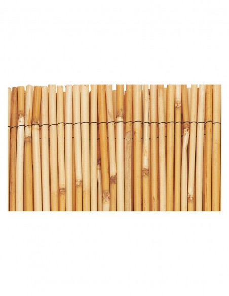 Paillon de bambou au choix JANY longueur 5 m