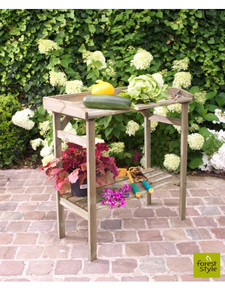 Table de rempotage Flora en bois traité