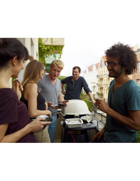 Barbecue Weber à gaz Q 3000 Titane avec chariot