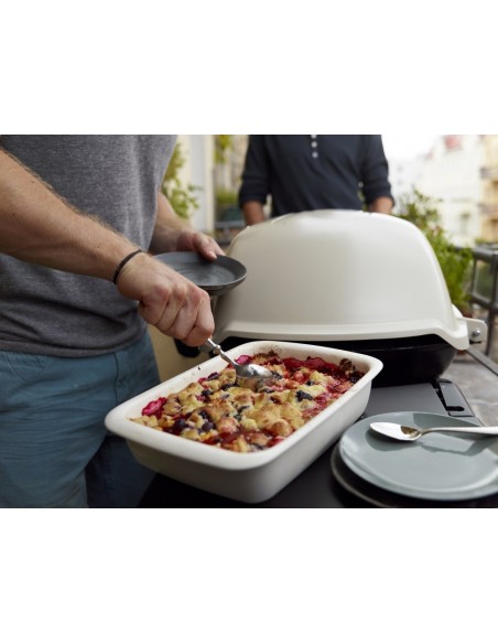 Barbecue Weber à gaz Q 3000 Titane avec chariot