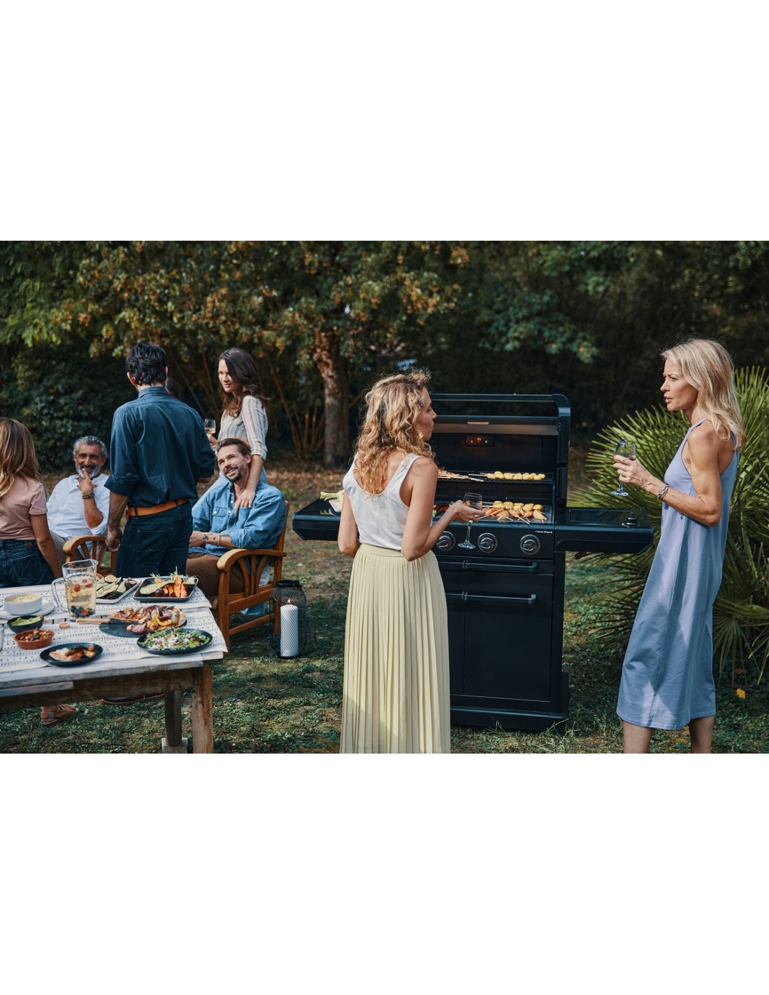 Barbecue à gaz Onyx 4 S Noir Campingaz.