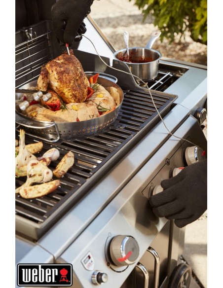 Point-Virgule Support de cuisson pour poulet au barbecue avec plat 