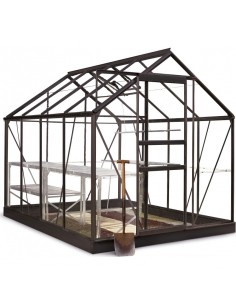 Serre de jardin Popular 5 m² laquée noire en verre 3 mm