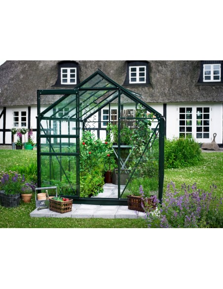 Serre de jardin Popular 5 m² laquée verte en verre trempé 3 mm