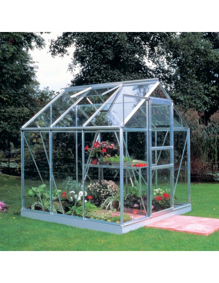 Serre de jardin Popular 3.8 m² en verre trempé 3 mm