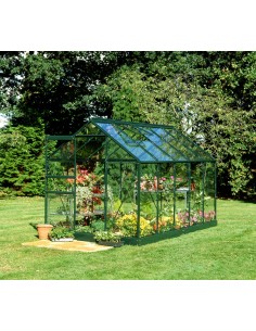 Serre de jardin Popular 6.2 m² laquée verte en verre trempé 3 mm