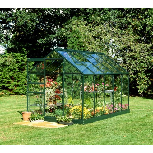 Serre de jardin Popular 6.2 m² laquée verte en verre trempé 3 mm