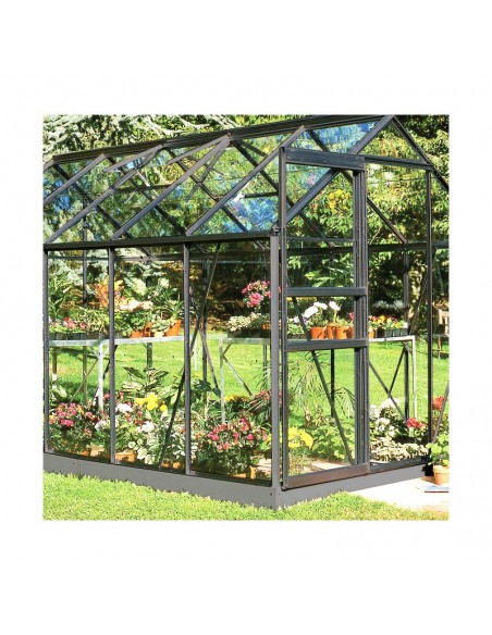 Serre de jardin Popular 6.2 m² laquée noire en verre 3 mm