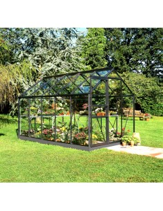 Serre de jardin Popular 6.2 m² laquée noire en verre 3 mm