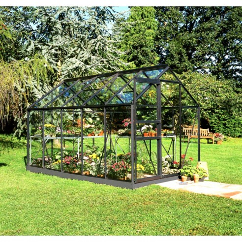 Serre de jardin Popular 6.2 m² laquée noire en verre 3 mm