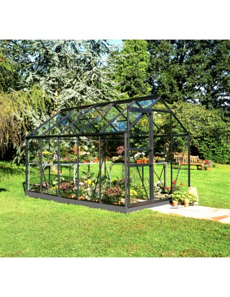 Serre de jardin Popular 6.2 m² laquée noire en verre 3 mm