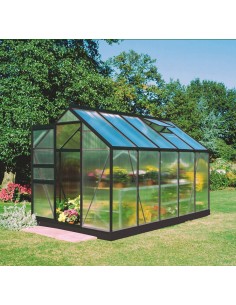 Serre de jardin Popular 6.2 m² laquée noire en polycarbonate 4 mm