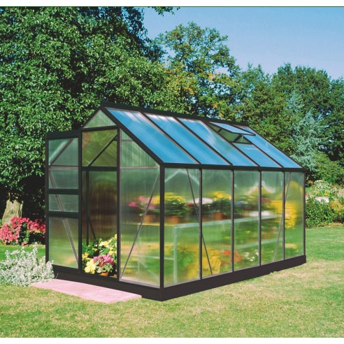 Serre de jardin Popular 6.2 m² laquée noire en polycarbonate 4 mm