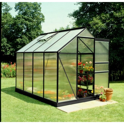 Serre de jardin Popular 5 m² laquée noire en polycarbonate 4 mm