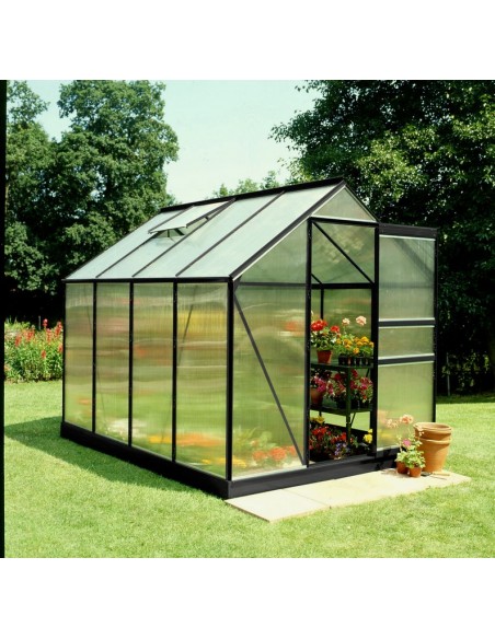 Serre de jardin Popular 5 m² laquée noire en polycarbonate 4 mm