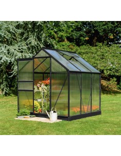 Serre de jardin Popular 3.8 m² laquée noire en polycarbonate 4 mm