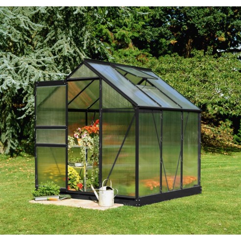 Serre de jardin Popular 3.8 m² laquée noire en polycarbonate 4 mm