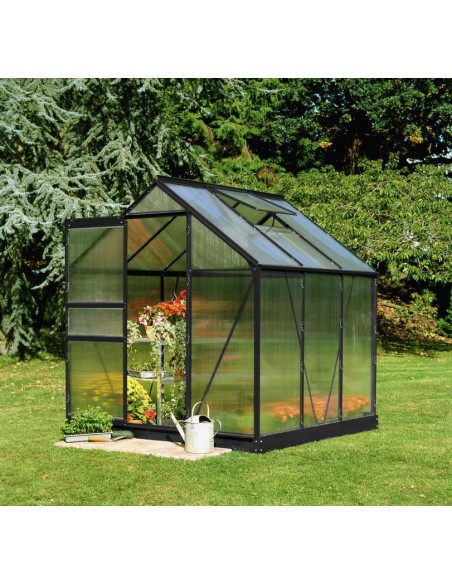 Serre de jardin Popular 3.8 m² laquée noire en polycarbonate 4 mm