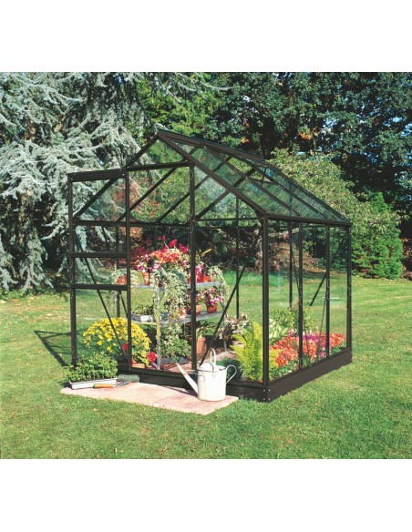 Serre de jardin Popular 3.8 m² laquée noire en verre 3 mm