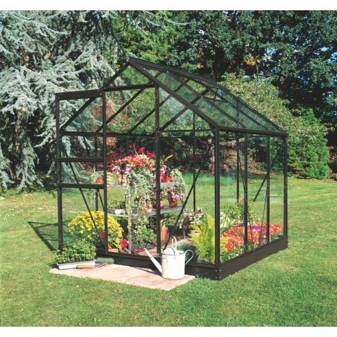 Serre de jardin Popular 3.8 m² laquée noire en verre trempé 3 mm