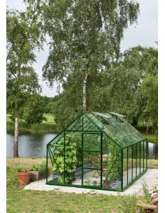 Serre de jardin Universal 9.9 m² laquée verte en verre 3 mm