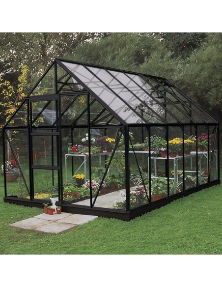 Serre de jardin Universal 9.9 m² laquée noire en verre 3 mm