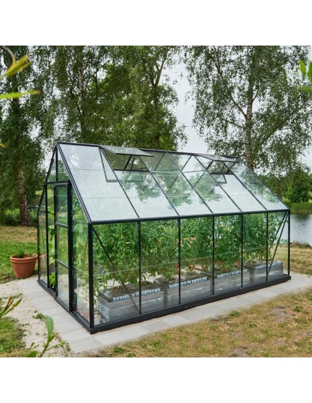 Serre de jardin Universal 9.9 m² laquée noire en verre 3 mm