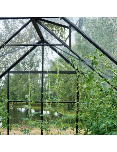 Serre de jardin Universal 9.9 m² laquée noire en verre 3 mm