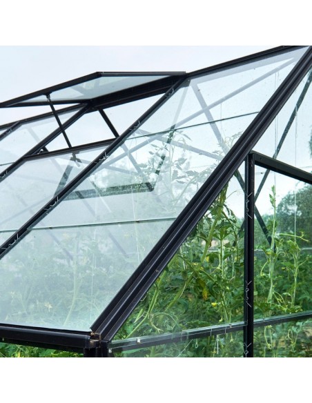 Serre de jardin Universal 9.9 m² laquée noire en verre 3 mm