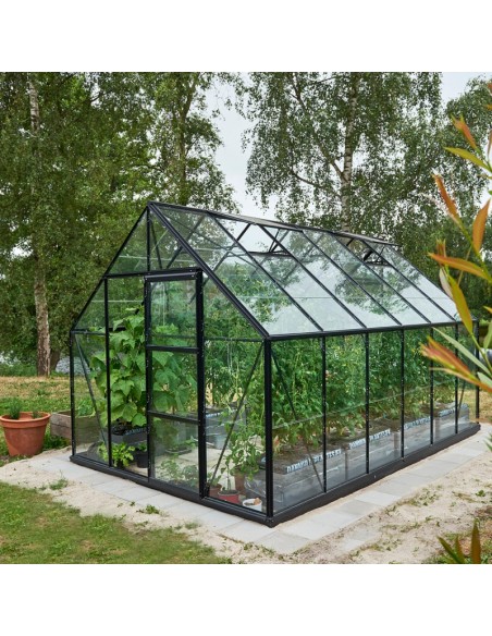 Serre de jardin Universal 9.9 m² laquée noire en verre 3 mm