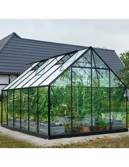 Serre de jardin Universal 9.9 m² laquée noire en verre trempé 3 mm