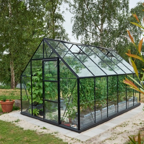 Serre de jardin Universal 9.9 m² laquée noire en verre trempé 3 mm