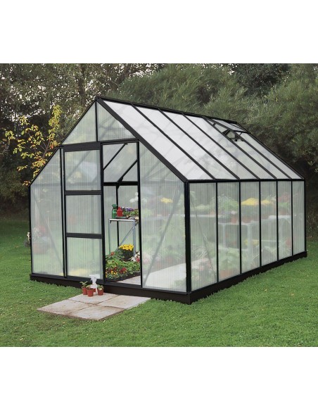 Serre de jardin Universal 9.9 m² laquée noire en polycarbonate 6 mm