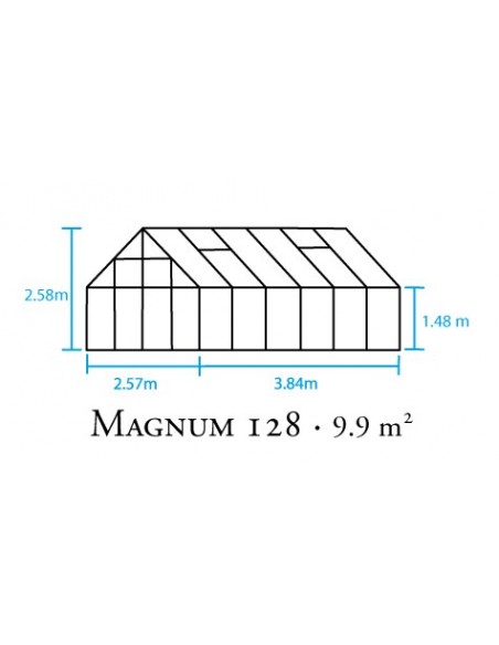 Serre en verre 3 mm Magnum 9.9 m² laquée noire