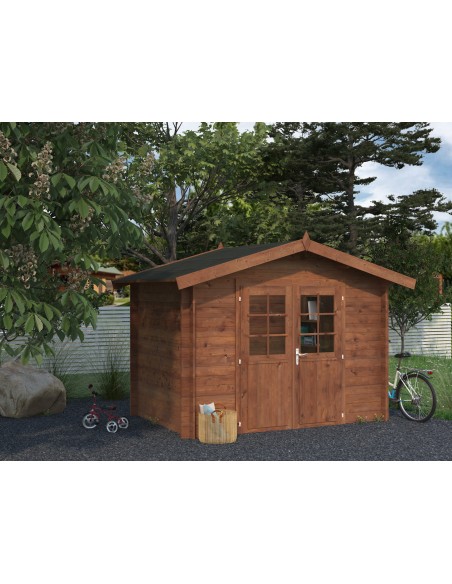 Abri de jardin en bois