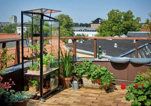 Mini serre sur un balcon avec des plantes qui pousse à l'intérieur