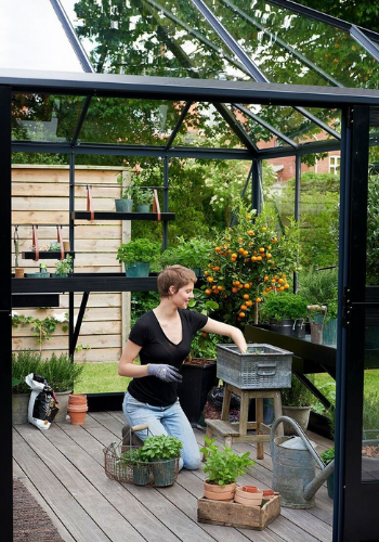 serre de jardin en verre jardinage avec plantes et argrumes