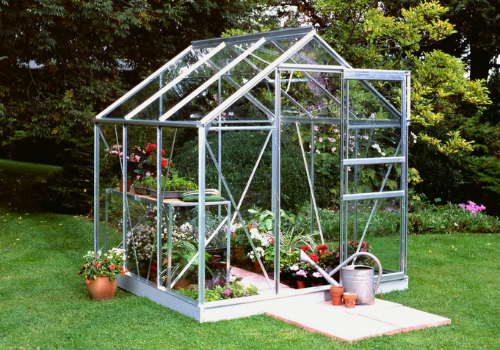 serre en verre dans un jardin avec des fleurs et arrosoir