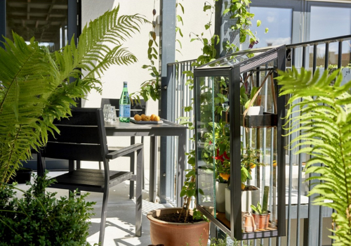 mini serre, table et chaises, plantes sur un balcon.