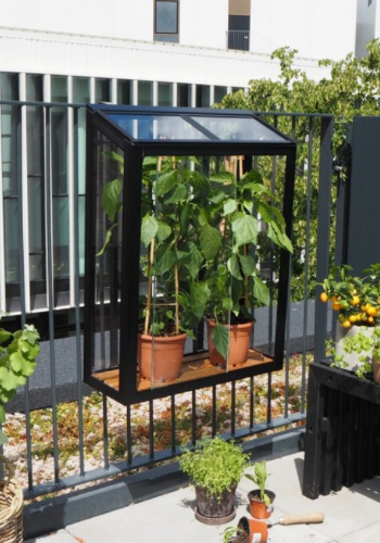 Mini serre de balcon fixée sur une rambarde avec des plantes à l'intérieur