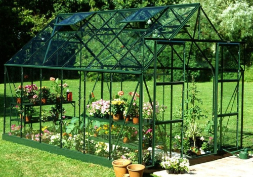 Serre en verre dans un jardin avec des plantes et fleurs à l'intérieur